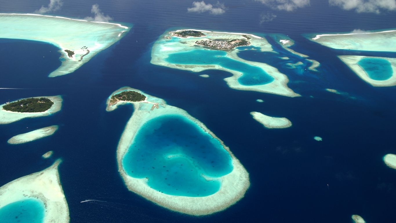 toor image